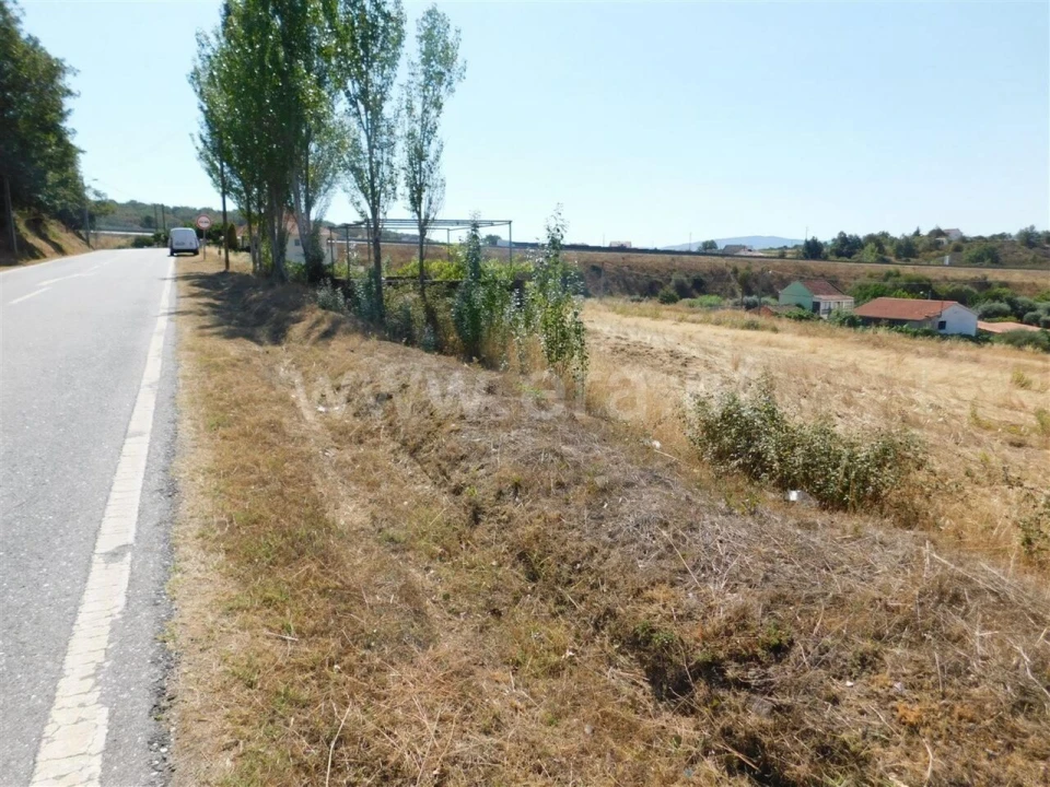 Terreno para Venda em Alcaria Foto 5