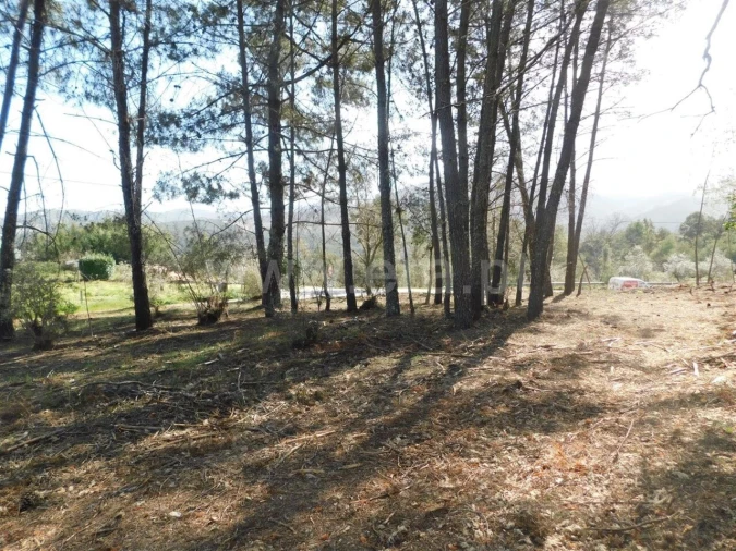 Terreno para Venda em Souto da Casa Foto 6