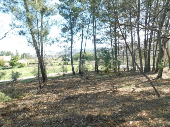 Terreno para Venda em Souto da Casa Foto 9