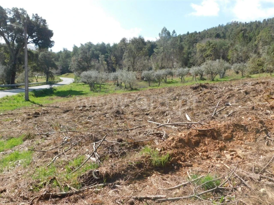 Terreno para Venda em Souto da Casa Foto 11