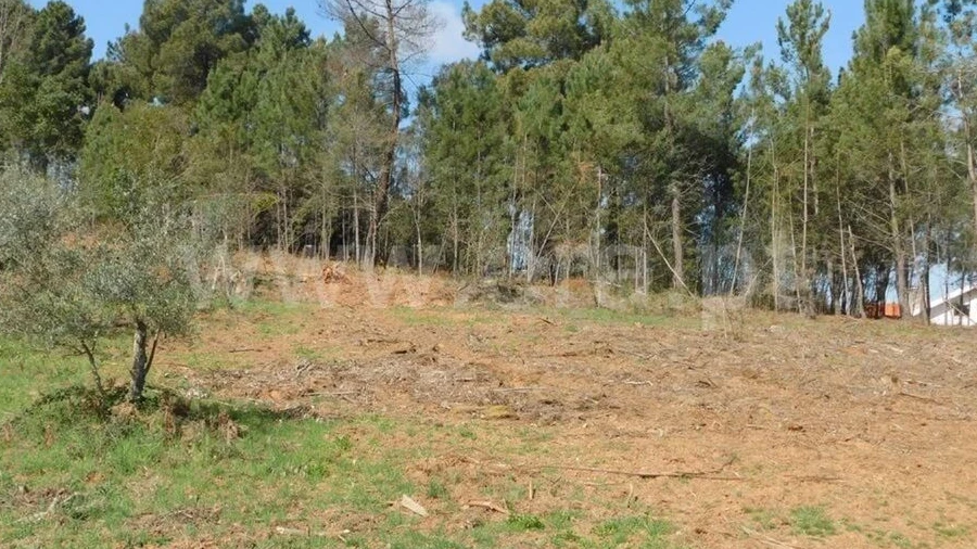 Terreno para Venda em Souto da Casa
