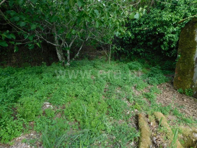 Terreno para Venda em Alcaide Foto 20