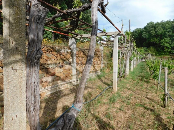 Terreno para Venda em Alcaide Foto 13