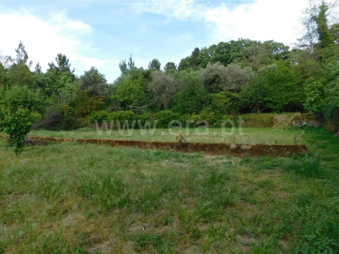 Terreno para Venda em Alcaide Foto 16