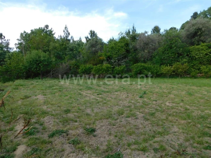 Terreno para Venda em Alcaide Foto 17