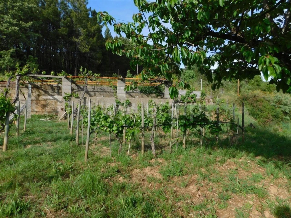Terreno para Venda em Alcaide Foto 8