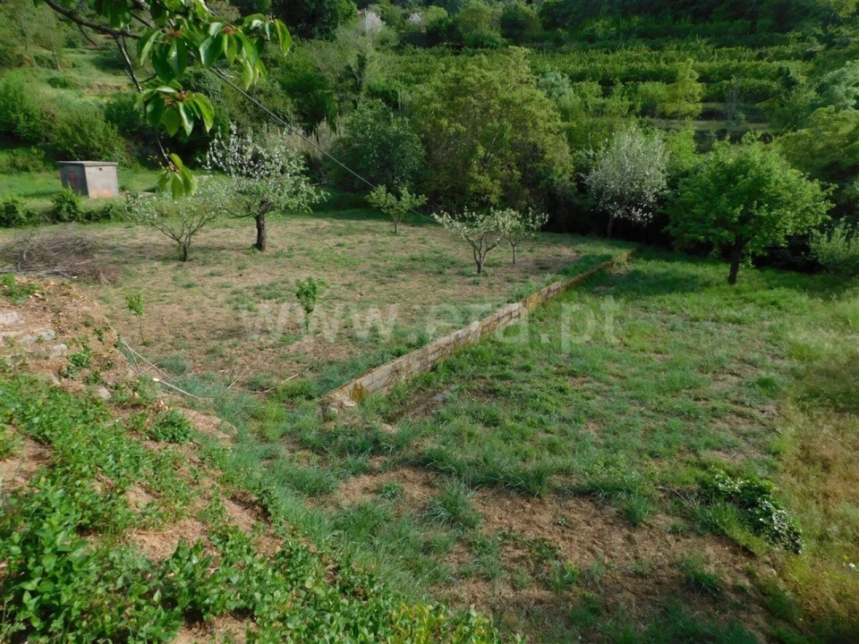 Terreno para Venda em Alcaide Foto 1