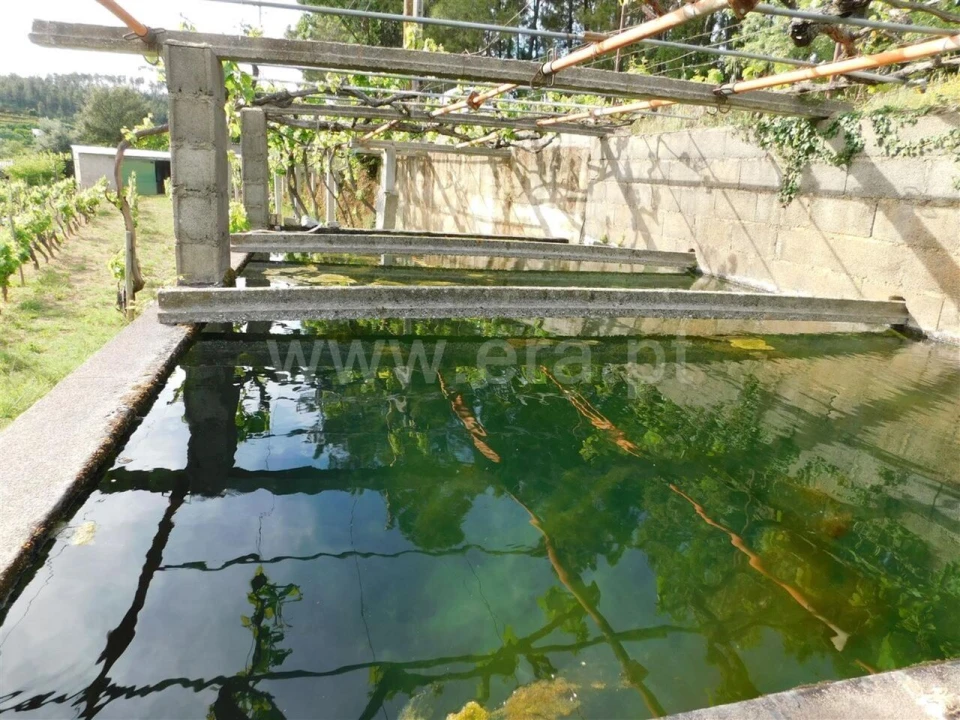 Terreno para Venda em Alcaide Foto 9