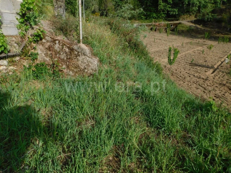 Terreno para Venda em Alcaide Foto 10