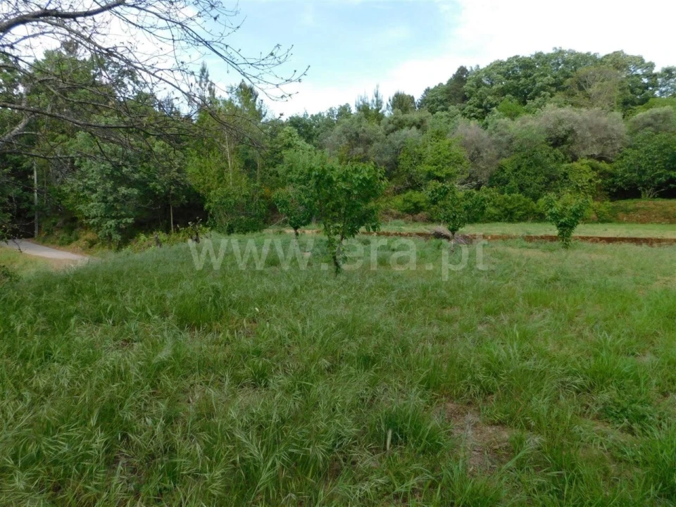 Terreno para Venda em Alcaide Foto 15