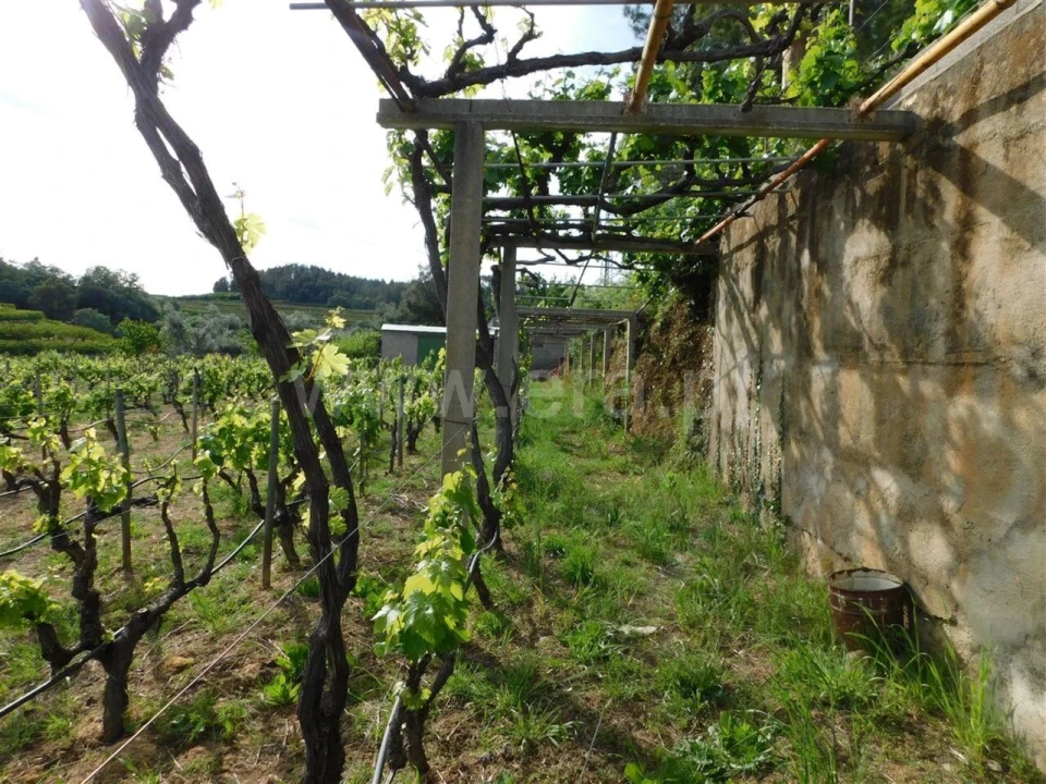 Terreno para Venda em Alcaide Foto 12