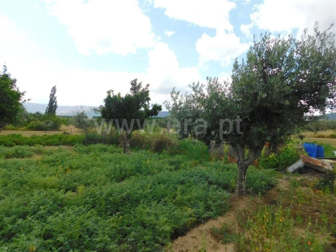 Terreno para Venda em Alpedrinha Foto 2