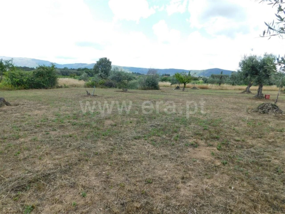 Terreno para Venda em Alpedrinha Foto 7