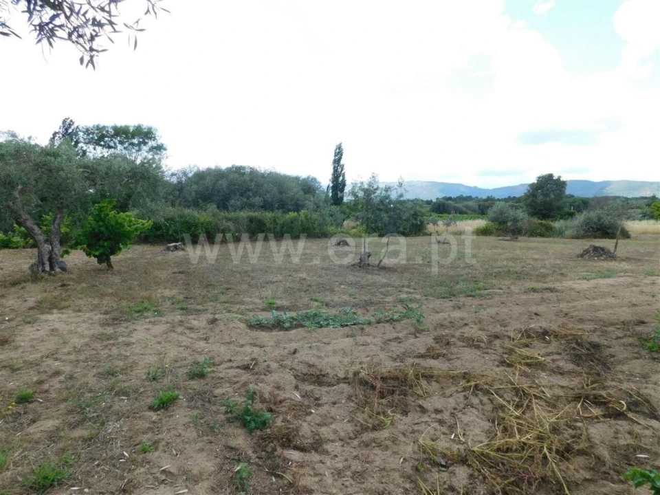 Terreno para Venda em Alpedrinha Foto 3