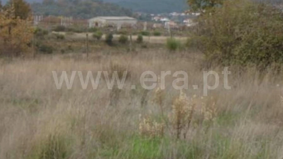 Terreno para Venda em Alcaria
