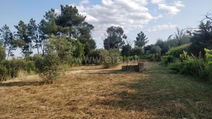 Terreno para Venda em Pero Viseu