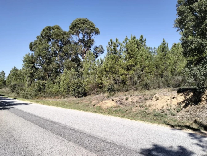 Terreno para Venda em Pero Viseu Foto 6