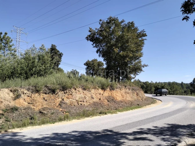 Terreno para Venda em Pero Viseu Foto 7
