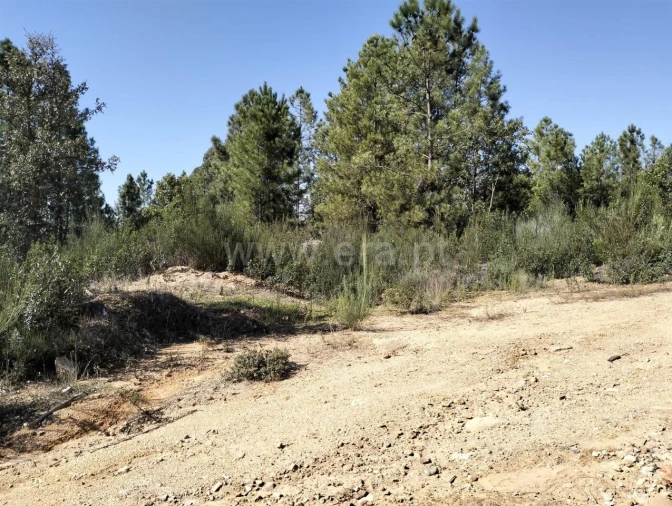 Terreno para Venda em Pero Viseu Foto 3