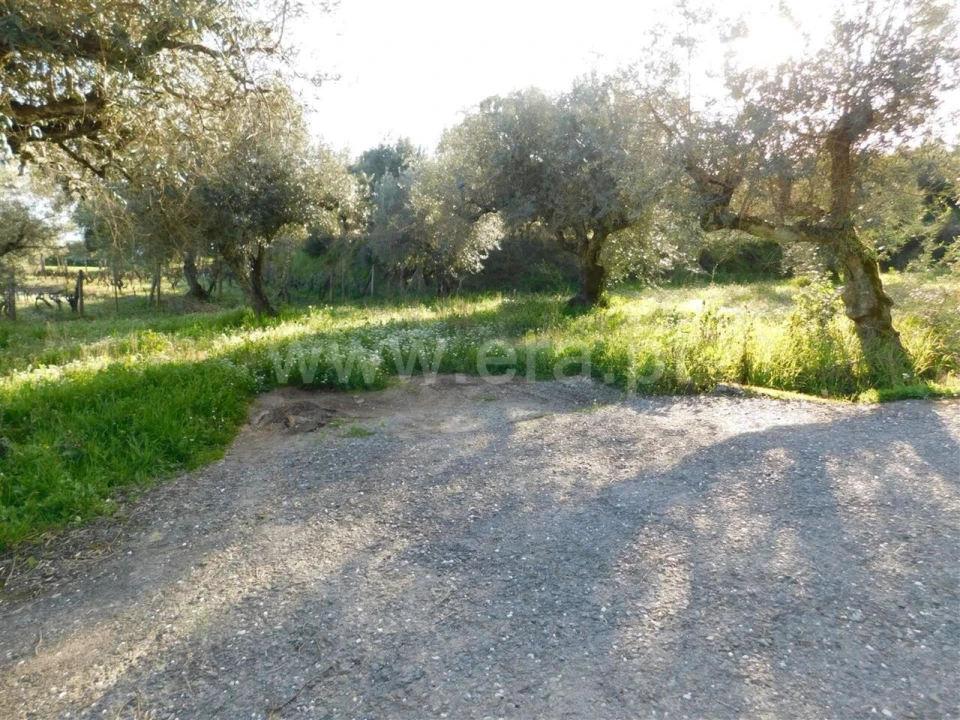 Terreno para Venda em Telhado Foto 3