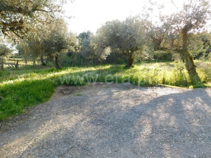 Terreno para Venda em Telhado Foto 3