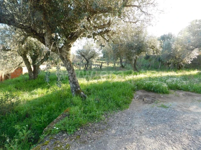 Terreno para Venda em Telhado Foto 5