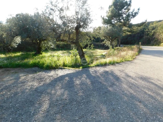 Terreno para Venda em Telhado Foto 4