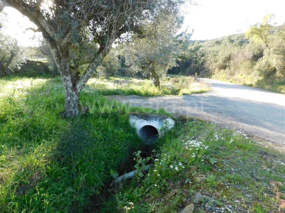 Terreno para Venda em Telhado Foto 2