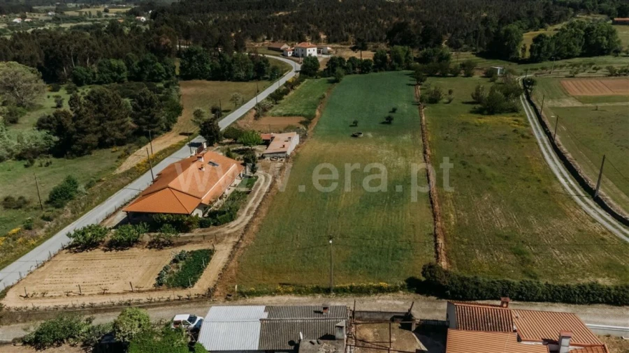 Terreno para Venda em Enxames Foto 2