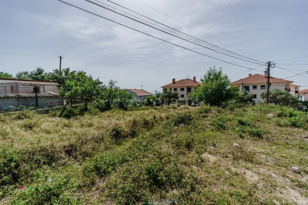 Terreno para Venda em Alpedrinha Foto 6