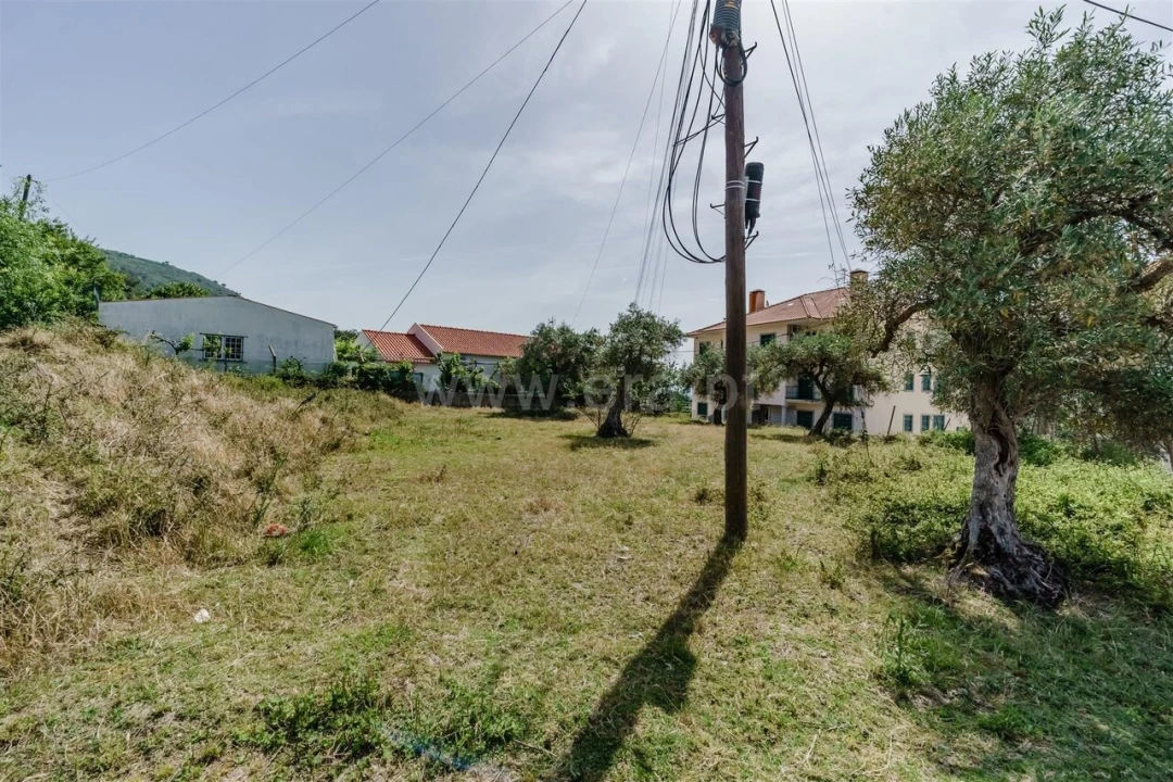 Terreno para Venda em Alpedrinha Foto 5