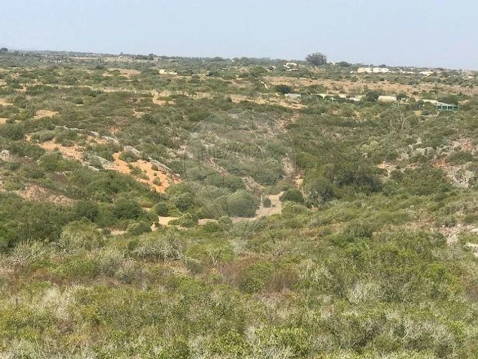 Terreno para Venda em Barão de São Miguel Foto 4