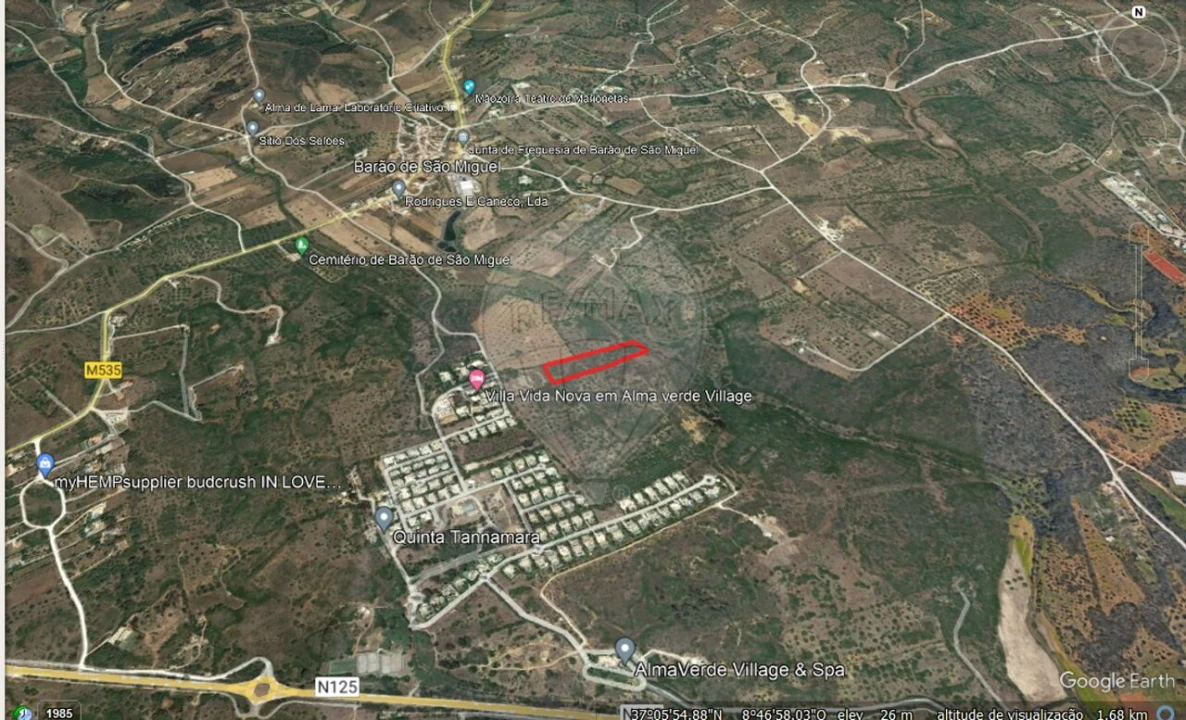 Terreno para Venda em Barão de São Miguel Foto 5