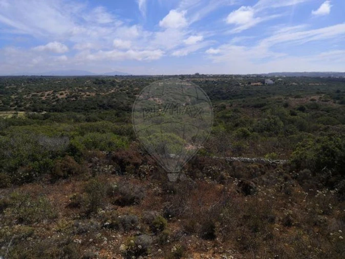 Terreno para Venda em Barão de São Miguel Foto 3