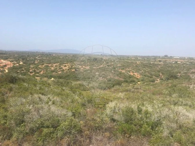 Terreno para Venda em Barão de São Miguel Foto 1