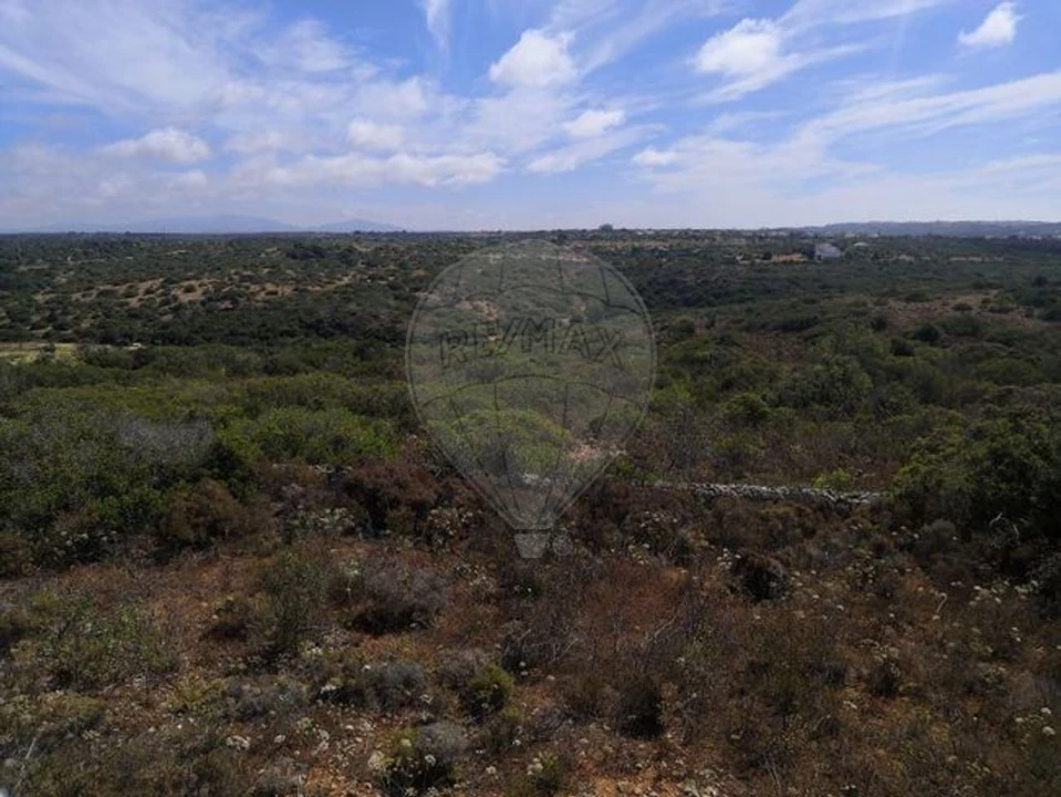 Terreno para Venda em Barão de São Miguel Foto 3