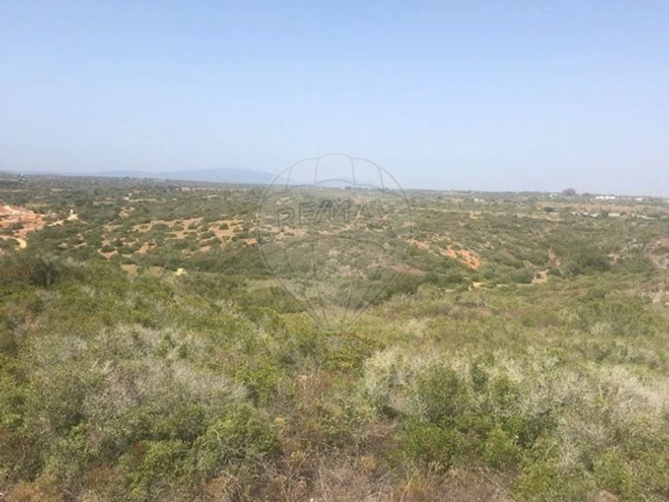 Terreno para Venda em Barão de São Miguel Foto 1
