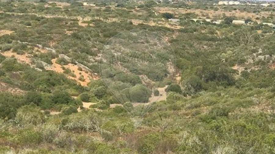 Terreno para Venda em Barão de São Miguel
