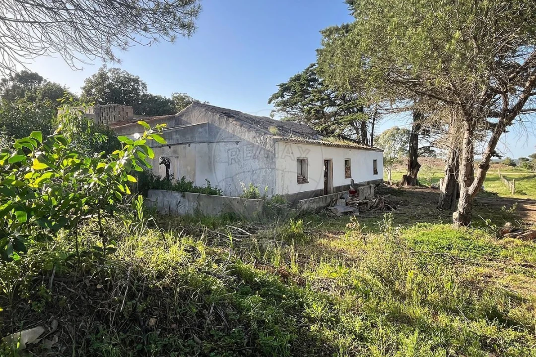 Terreno para Venda em Bordeira Foto 11