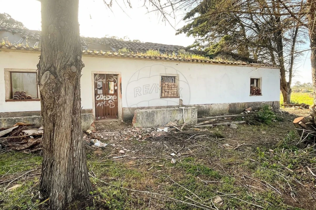 Terreno para Venda em Bordeira Foto 14