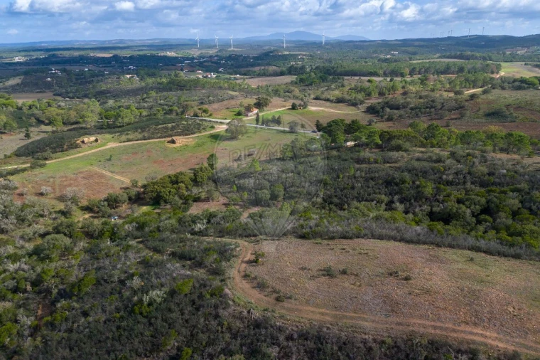 Terreno para Venda em Bordeira Foto 8