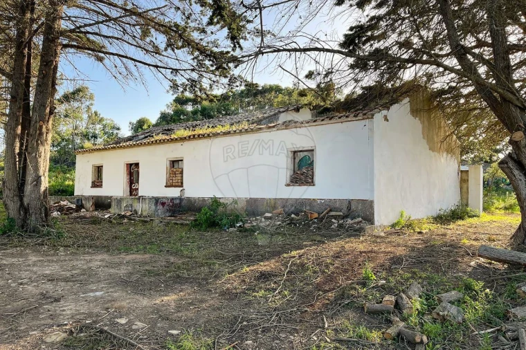 Terreno para Venda em Bordeira Foto 13