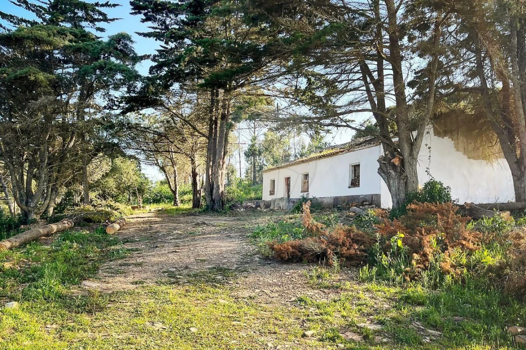 Terreno para Venda em Bordeira Foto 12