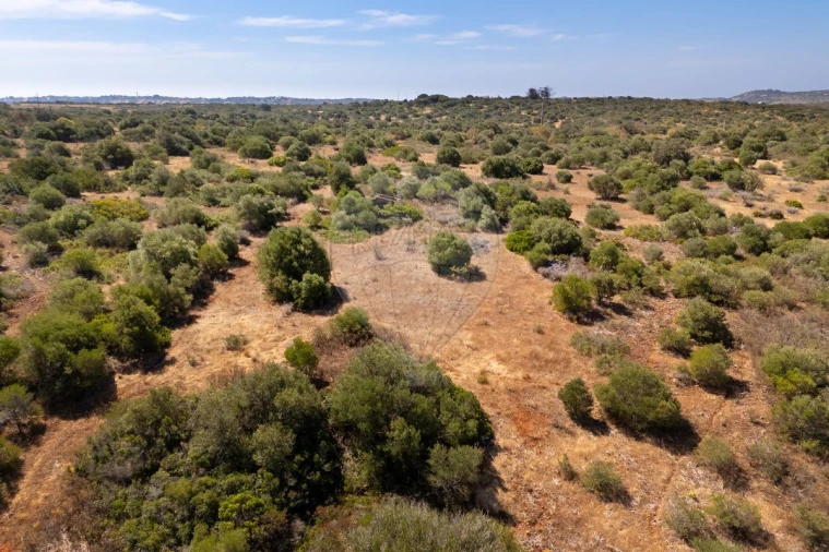 Terreno para Venda em Bensafrim e Barão de São João Foto 9