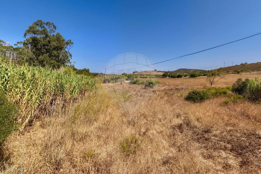 Terreno para Venda em Barão de São Miguel Foto 6