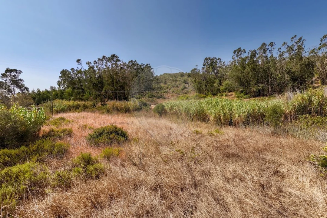 Terreno para Venda em Barão de São Miguel Foto 5