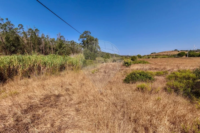 Terreno para Venda em Barão de São Miguel Foto 7