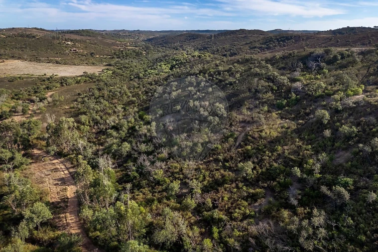 Terreno para Venda em Budens Foto 4