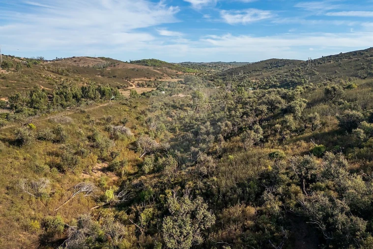 Terreno para Venda em Budens Foto 6