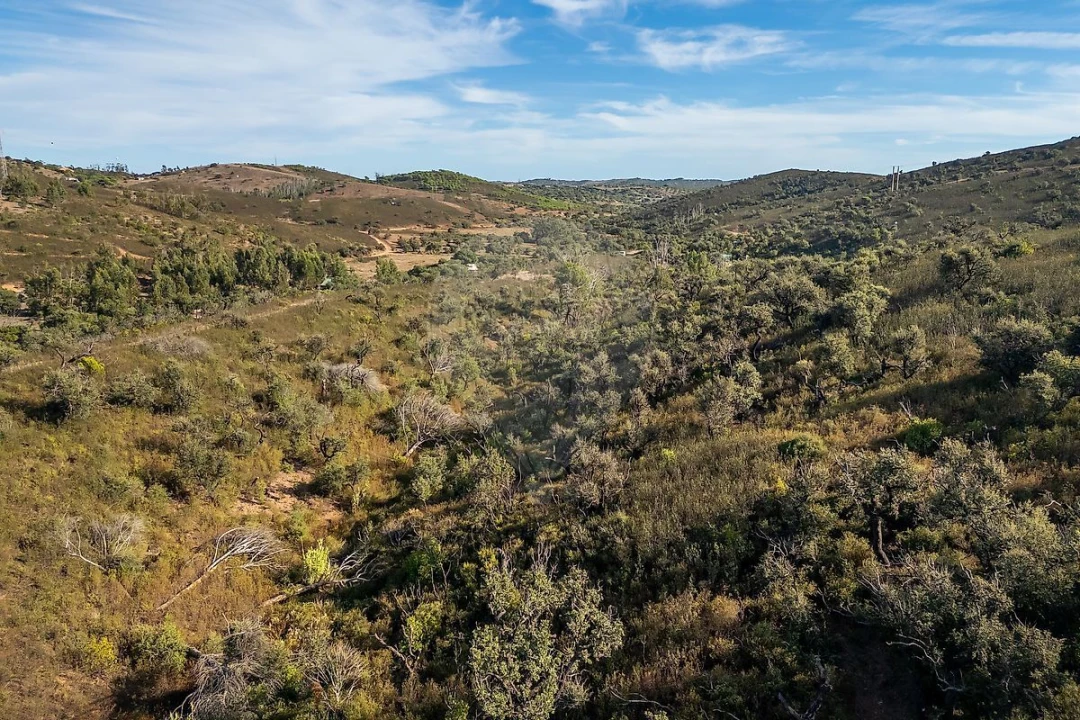 Terreno para Venda em Budens Foto 6